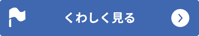 くわしくみる